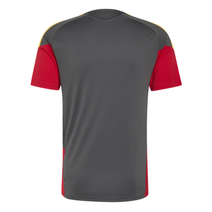 2026-2027 AS Roma Training Shirt (Grey)