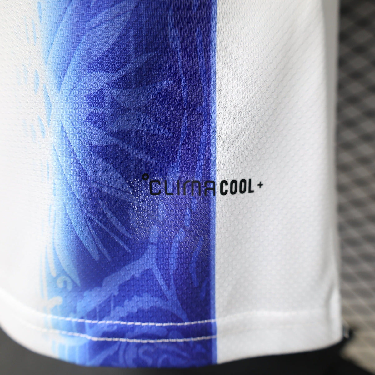Argentina 2026 World Cup Special Soccer Jersey – Player Edition