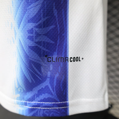 Argentina 2026 World Cup Special Soccer Jersey – Player Edition