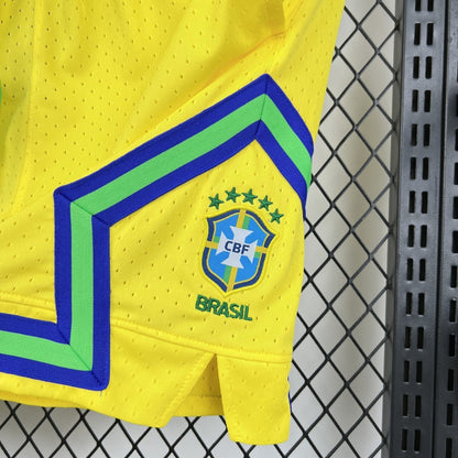 Brazil 2026 Special Classic Men's Soccer Shorts
