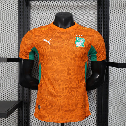 Ivory Coast 2026 World Cup Home Soccer Jersey – Player Edition