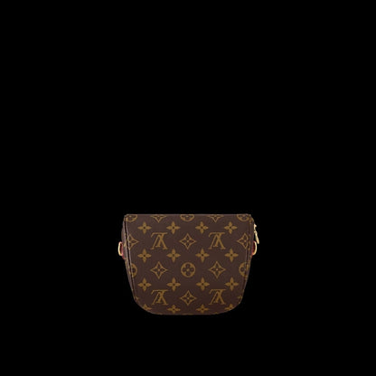 LV Mini Bumbag