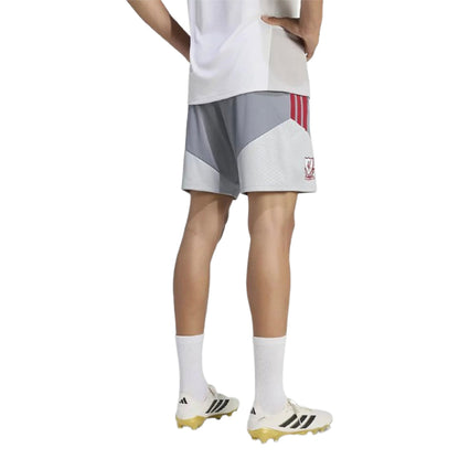 2026-2027 Liverpool EU Training Shorts (Grey)