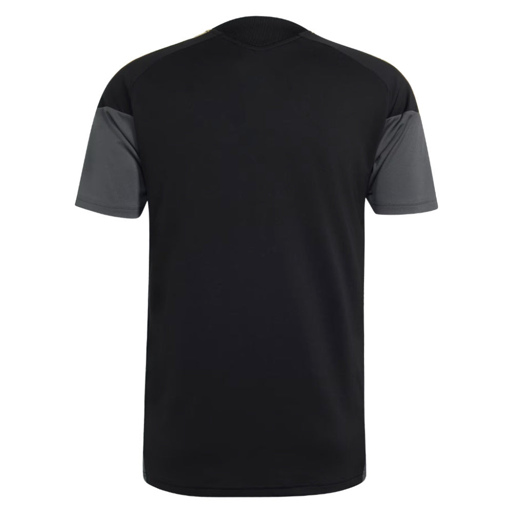 2026-2027 Juventus EU Training Jersey (Black)