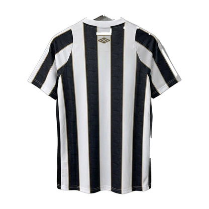 Santos 2024/25 Away Soccer Jersey
