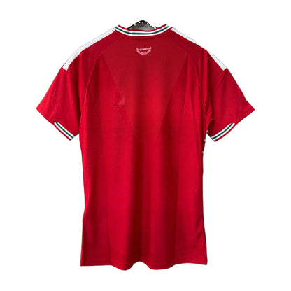 Wales 2026/27 Home Soccer Jersey – Player Edition