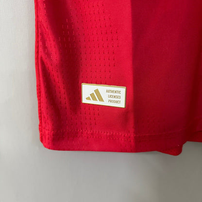 Wales 2026/27 Home Soccer Jersey – Player Edition